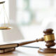 criminal charges and immigration